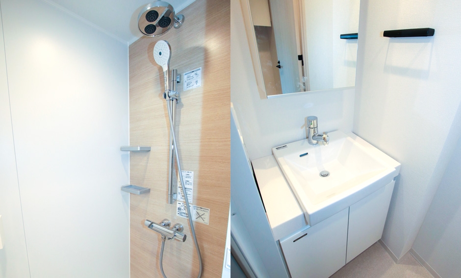Shower Room & Wash Basin