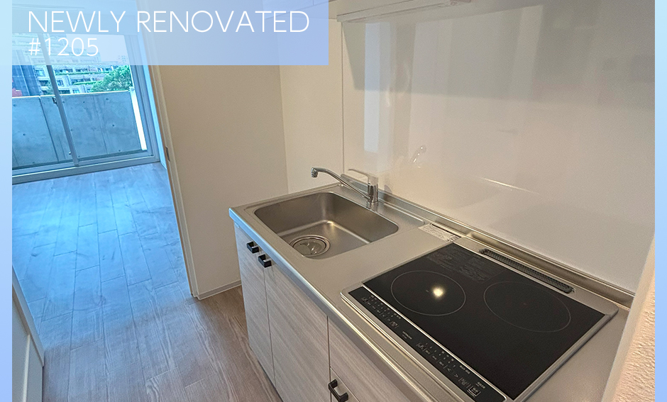 NEWLY RENOVATED #1205