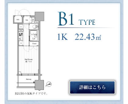 B1type