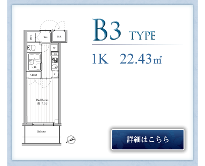 B3type