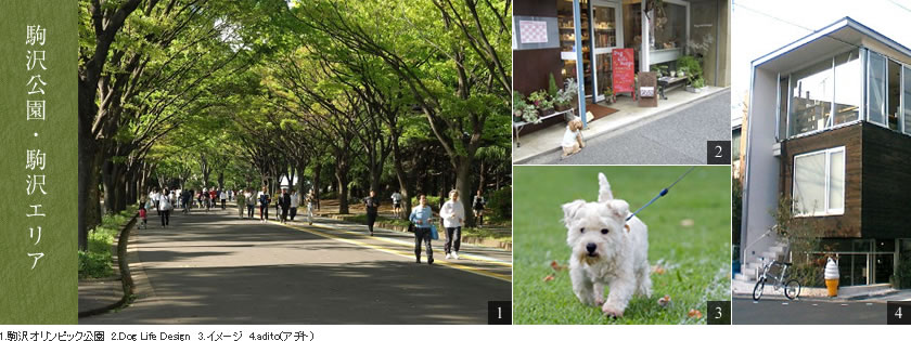 駒沢公園・駒沢エリア